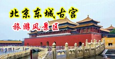 黑逼内射中国北京-东城古宫旅游风景区